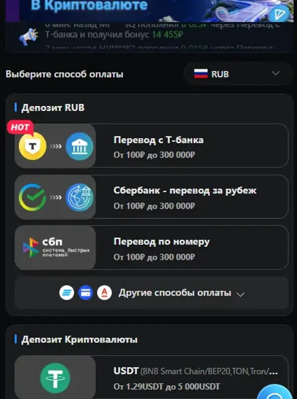 Окно «Пополнить» в Lucky Bear: рублёвые методы Т-Банк, Сбербанк и СБП от 100 до 300 000 ₽, ниже блок с депозитом в USDT